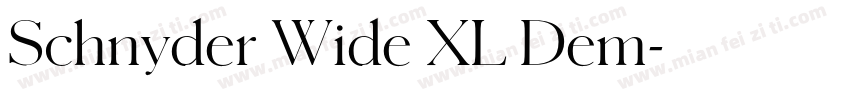 Schnyder Wide XL Dem字体转换